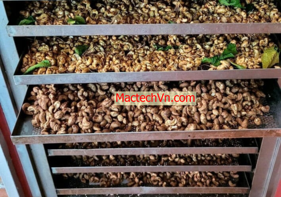 máy sấy ngũ cốc, máy sấy hạt điều