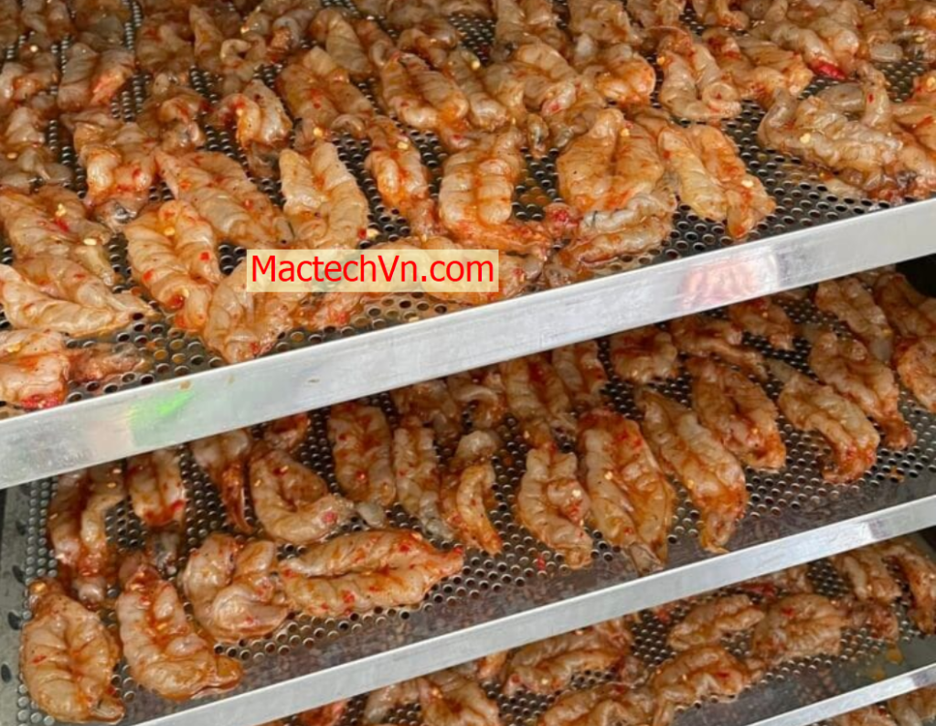 máy sấy dân dụng, sấy đa năng, sấy thực phẩm, thịt khô, sấy rau củ ...