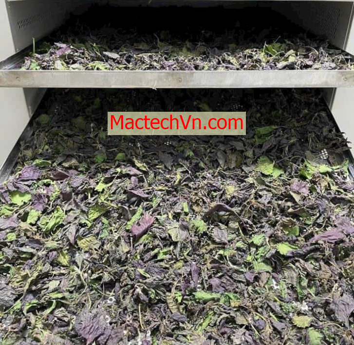 máy sấy dân dụng, sấy đa năng, sấy thực phẩm, thịt khô, sấy rau củ ...