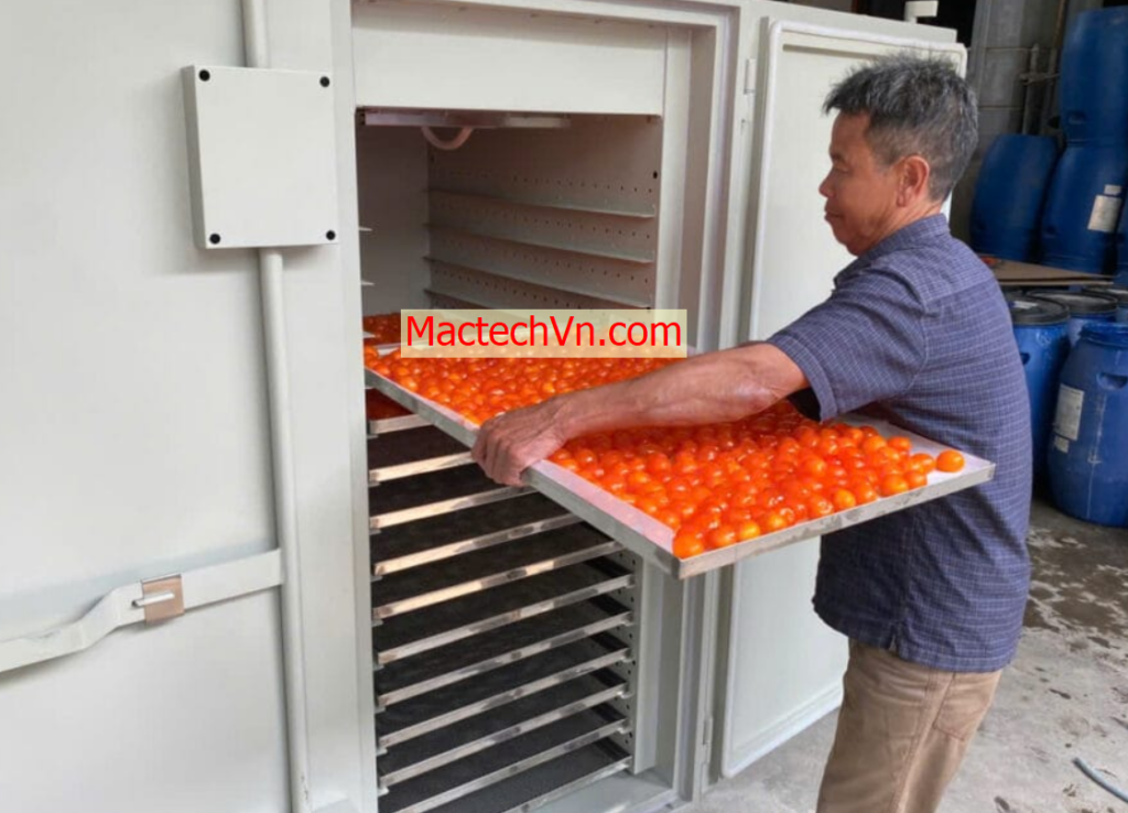 máy sấy dân dụng, sấy đa năng, sấy thực phẩm, thịt khô, sấy rau củ ...