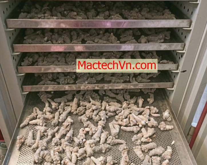 máy sấy dân dụng, sấy đa năng, sấy thực phẩm, thịt khô, sấy rau củ ...
