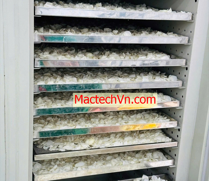 máy sấy thực phẩm, thảo dược, sấy dân dụng
