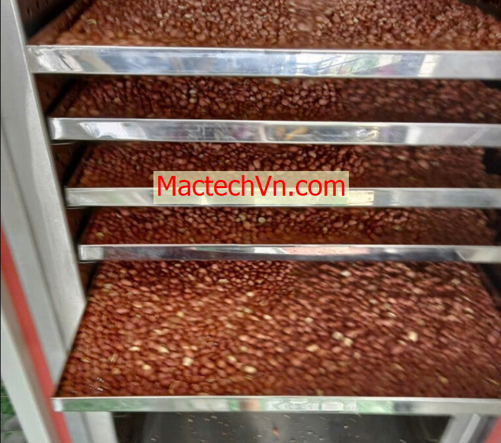 máy sấy dân dụng, sấy đa năng, sấy thực phẩm, thịt khô, sấy rau củ ...