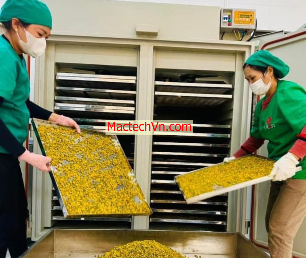 máy sấy dân dụng, sấy đa năng, sấy thực phẩm, thịt khô, sấy rau củ ...