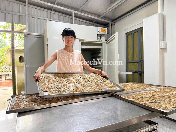 máy sấy thực phẩm, thảo dược, sấy dân dụng