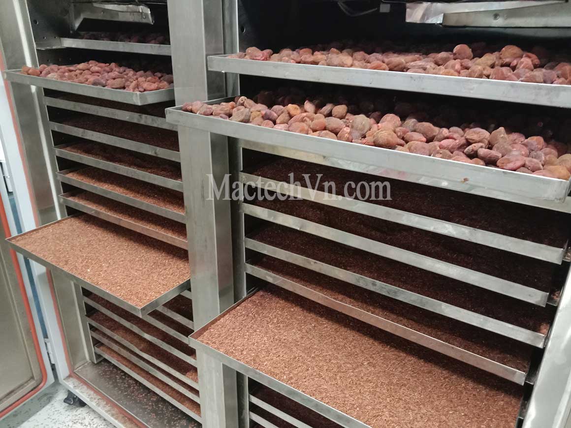 Máy sấy hạt ngũ cốc, máy sấy ngũ cốc chín giòn