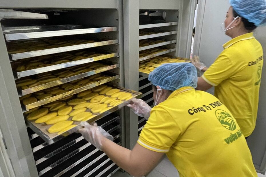 máy sấy dẻo hoa quả